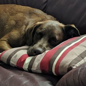 Meet your Posher, Ellen